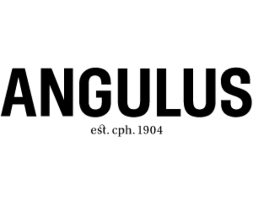 Angulus logo