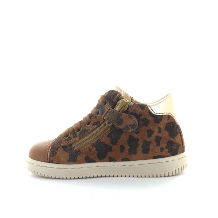 eerste stapper leopardo