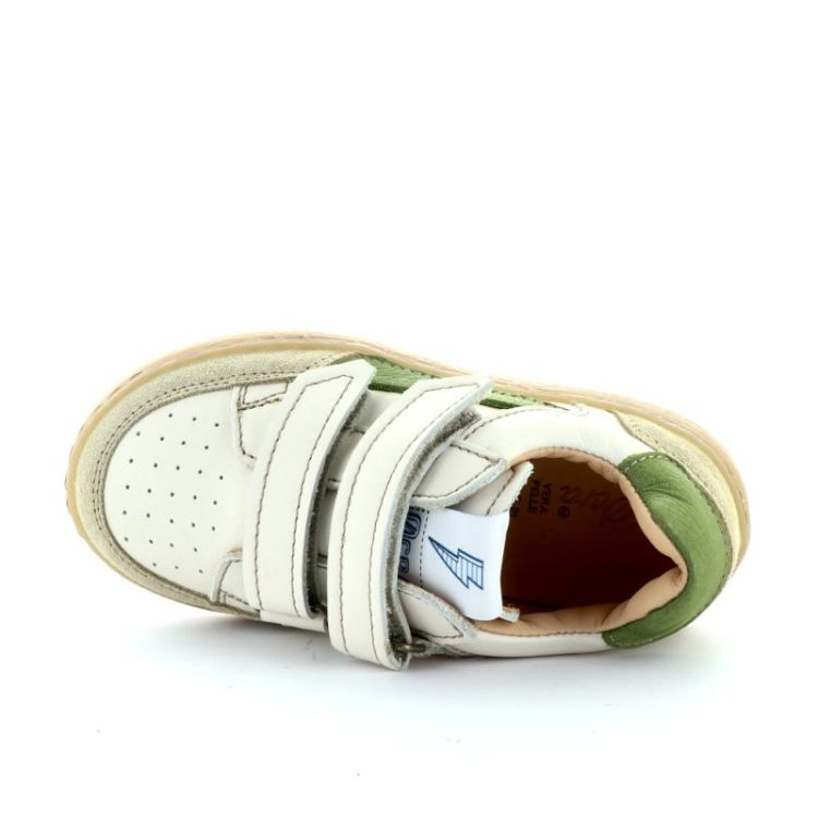 lage sneaker sage