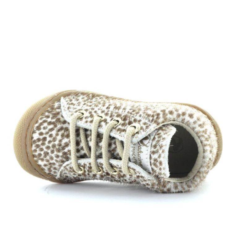 eerste stapper cocoon dotted