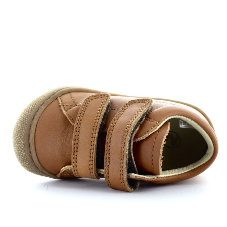 eerste stapper cocoon cognac