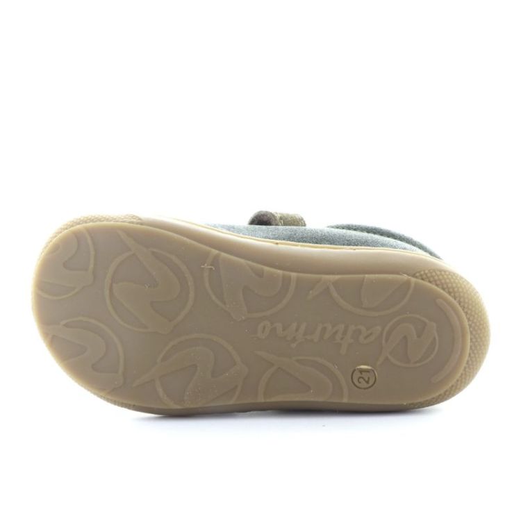 eerste stapper corkel forest zucca br