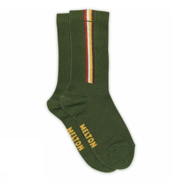 Vertical stripes socks 4166 Elm Green