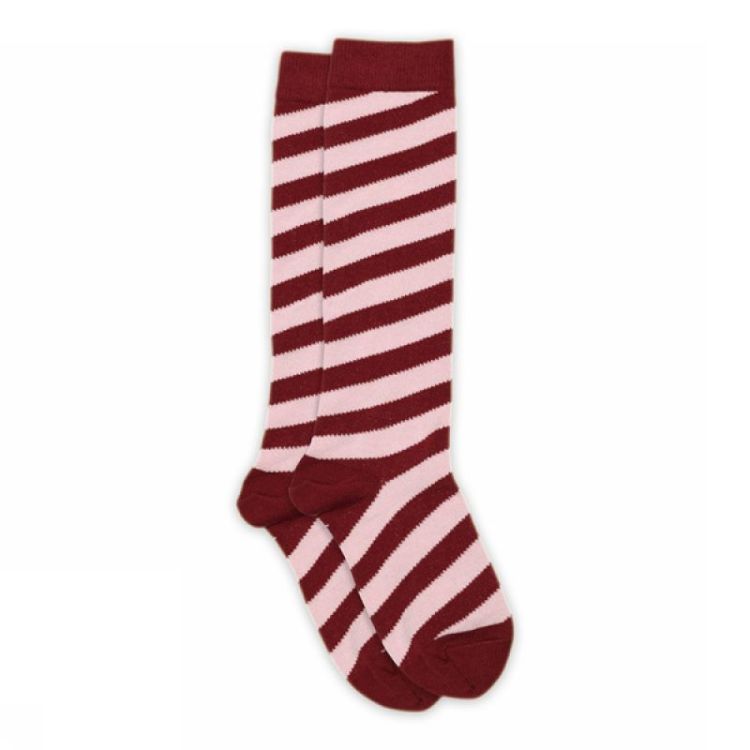 Candy stripes knee socks 4200 Sundried T