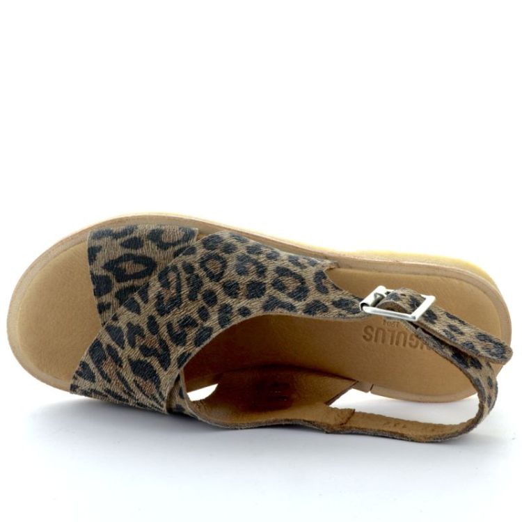  leopard
