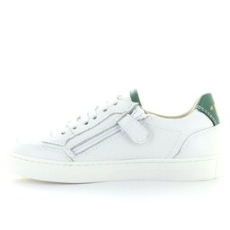 lage sneaker verde