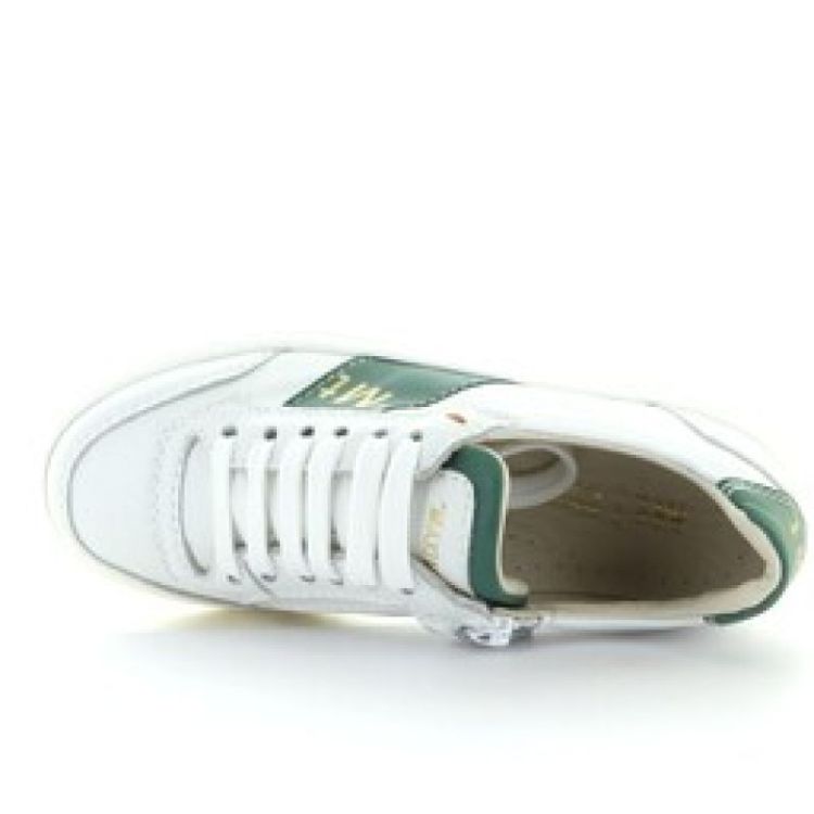 lage sneaker verde
