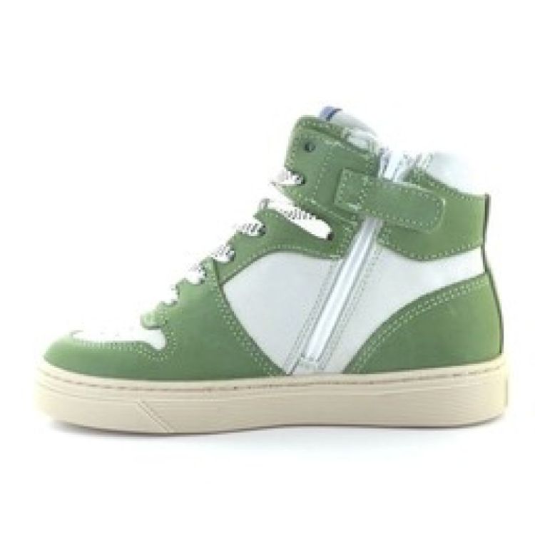 hoge sneaker kaki