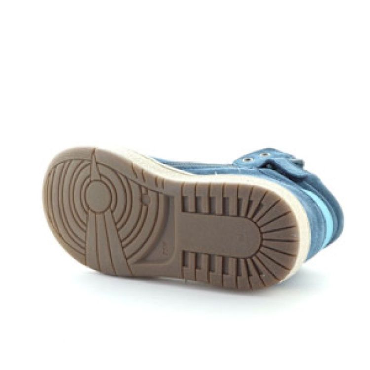 hoge sneaker blu