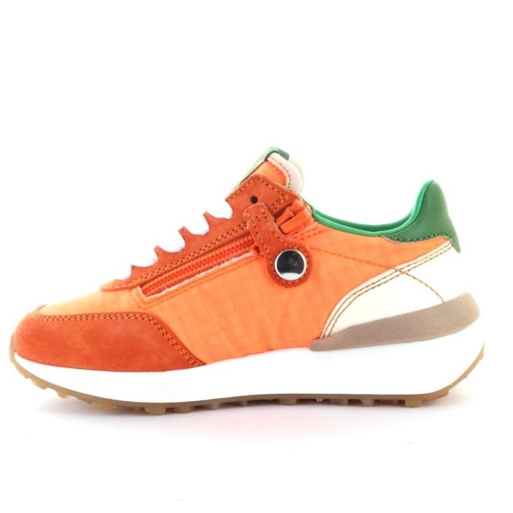 elegante sneaker C samon verde