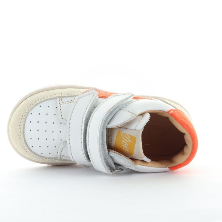 eerste stapper arancia
