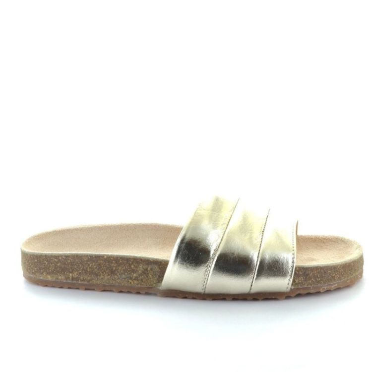 unieke slipper plata