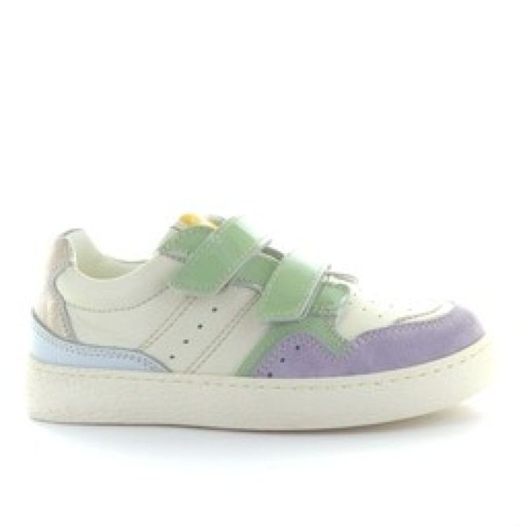 lage sneaker glicine milk