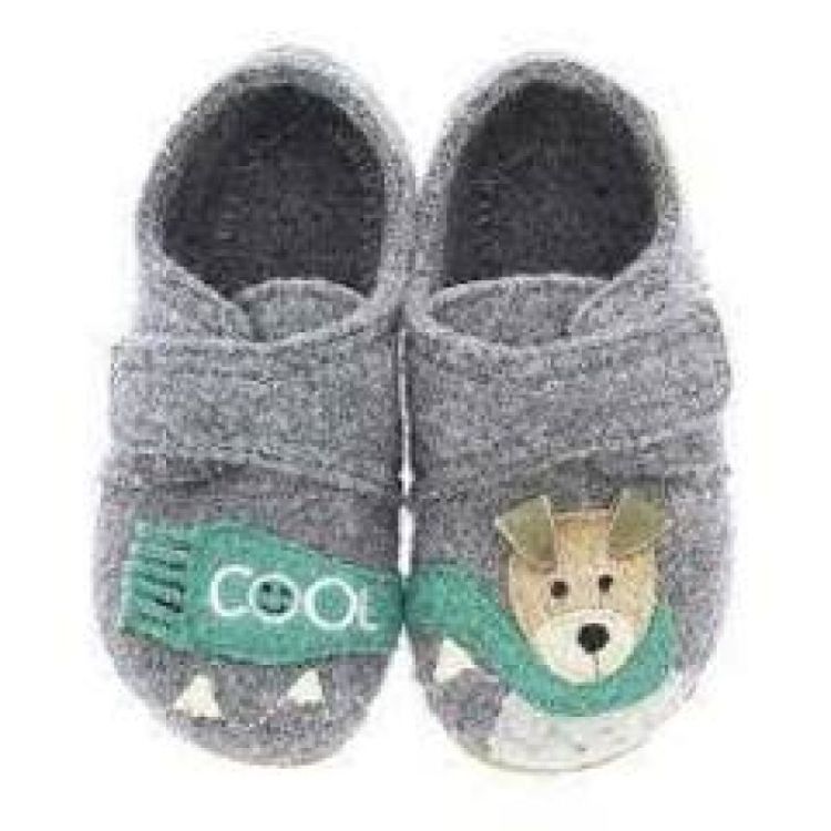 cool dog grau