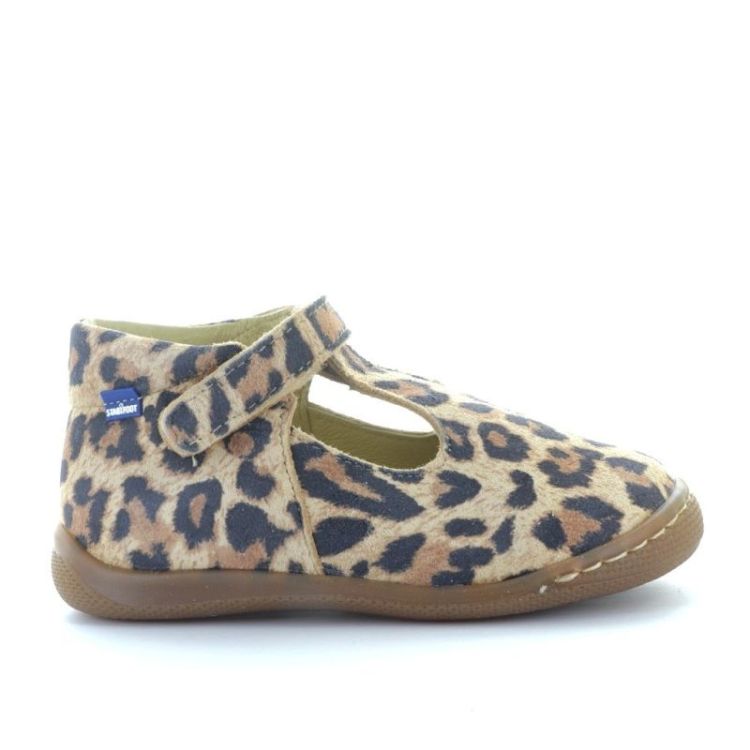 open pre-steps leo