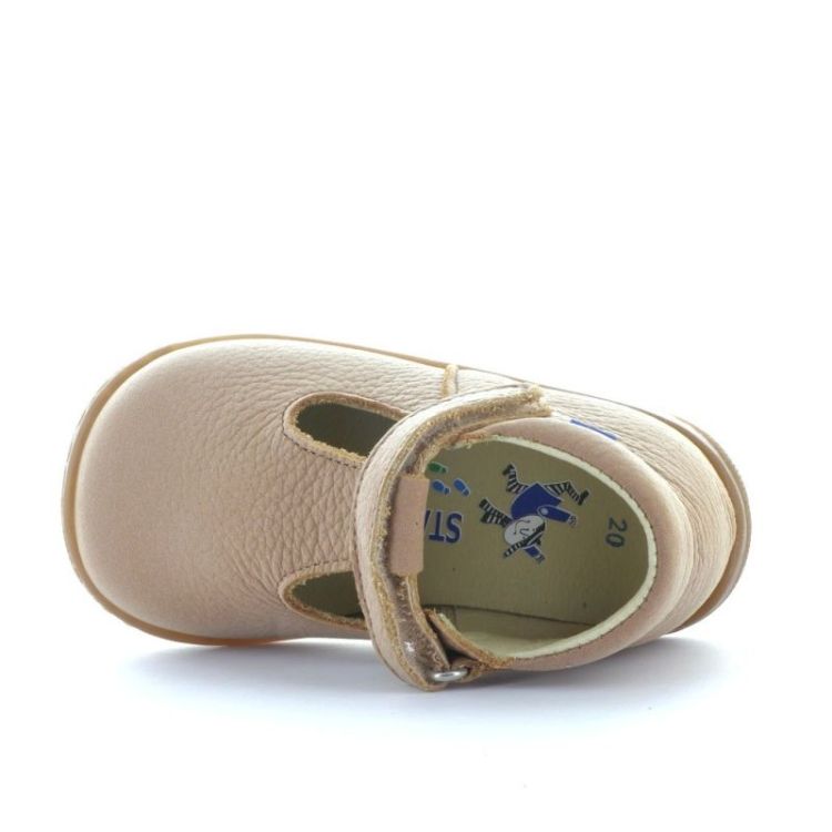open pre-steps camel