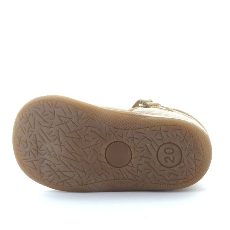 open pre-steps camel