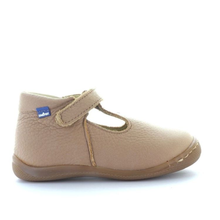 open pre-steps camel
