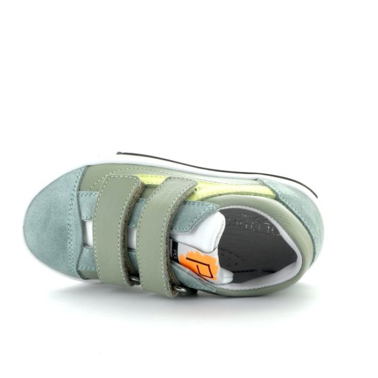 lage sneaker sage