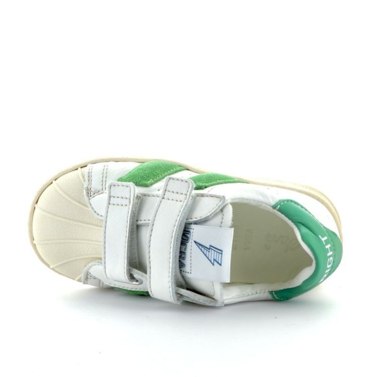 bumper sneaker grass