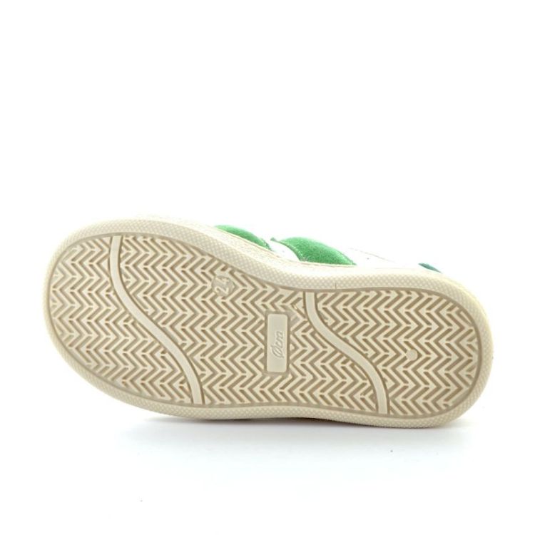 bumper sneaker  grass