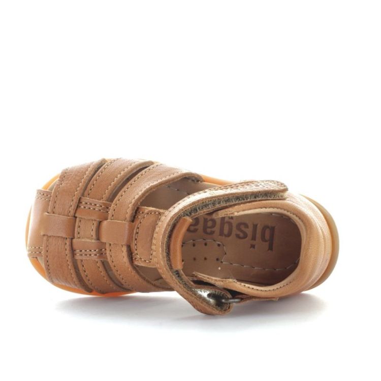 carly cognac
