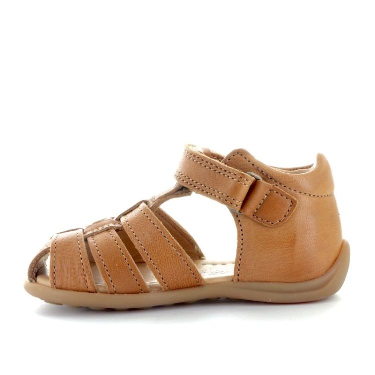 carly cognac