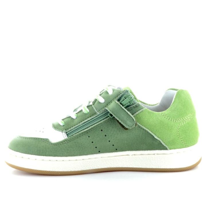 klassieke sneaker verde