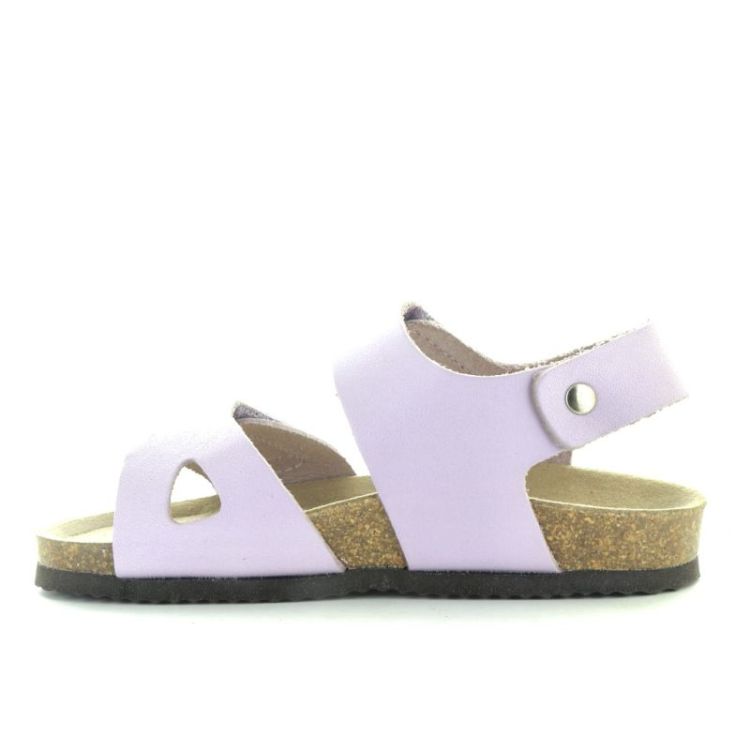 Bomhus lilac