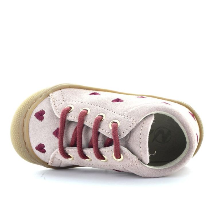 cocoon hearts rose